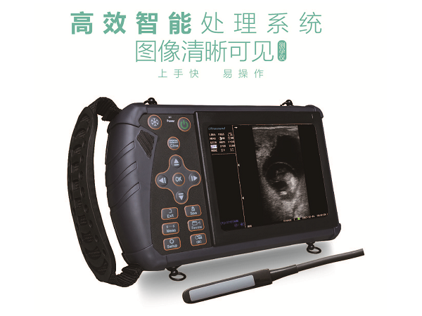 手持式養殖場b超S10