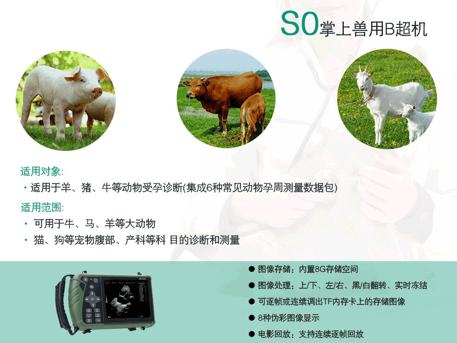 S1獸用B超機(jī)