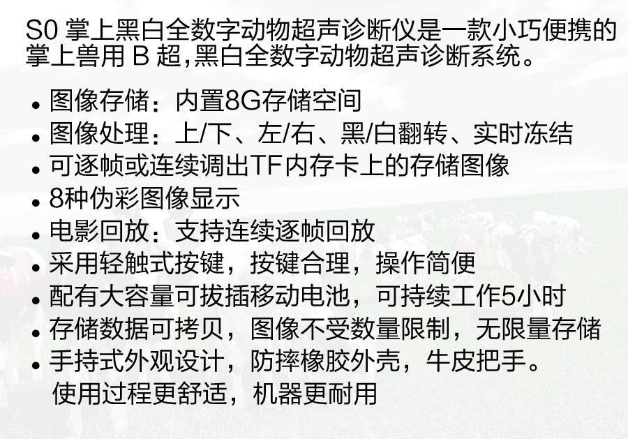 掌上黑白全數(shù)字超聲診斷儀