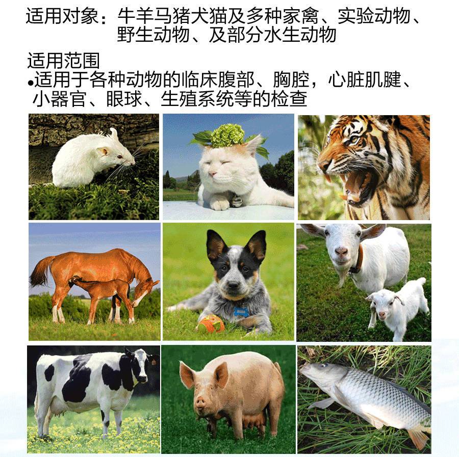 S80便攜式獸用彩超機(jī)適用對(duì)象