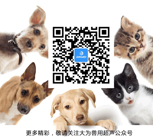 獸用B超公眾號