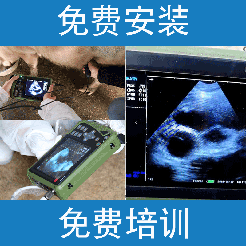 豬用b超機(jī)