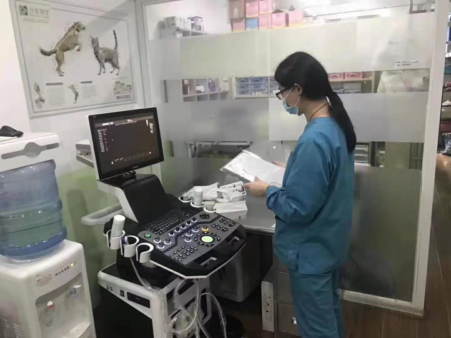 獸用彩超機