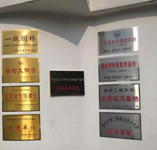 大為醫(yī)療（江蘇）有限公司