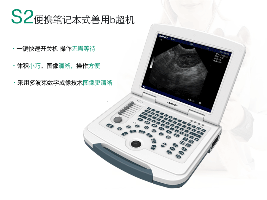 便攜式黑白獸用b超