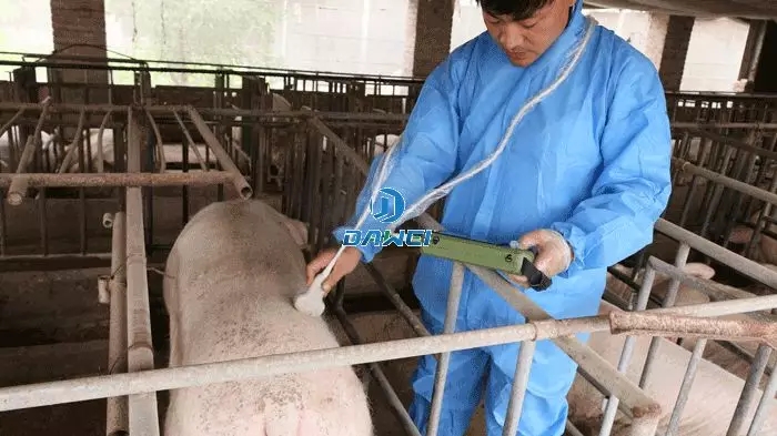 獸用b超機