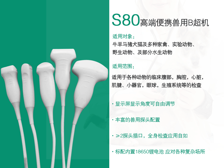 寵物b超機