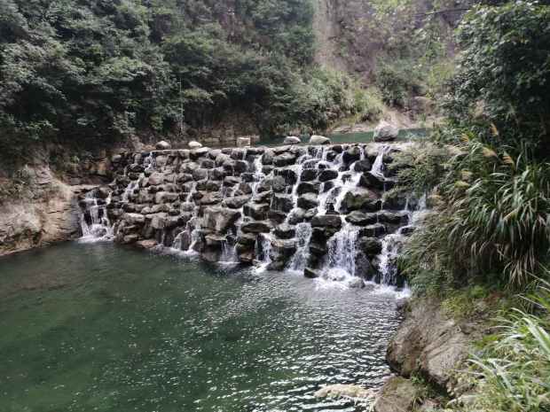 大為醫療