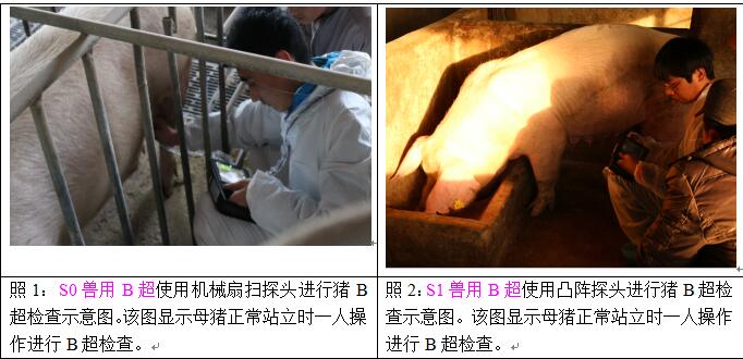獸用b超機