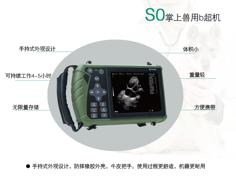 豬用b超機