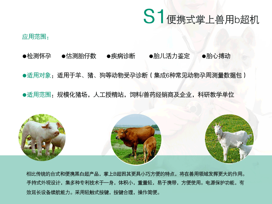 豬用b超機圖