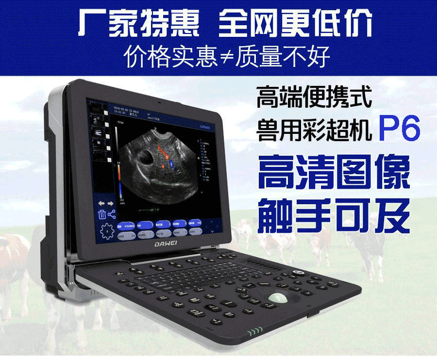 便攜式獸用彩超機(jī)