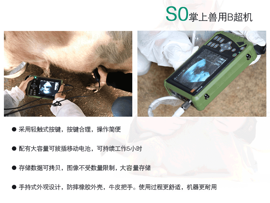 獸用b超機