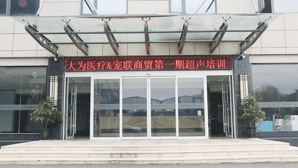 大為醫療寵物培訓