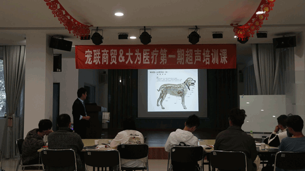 超聲培訓課