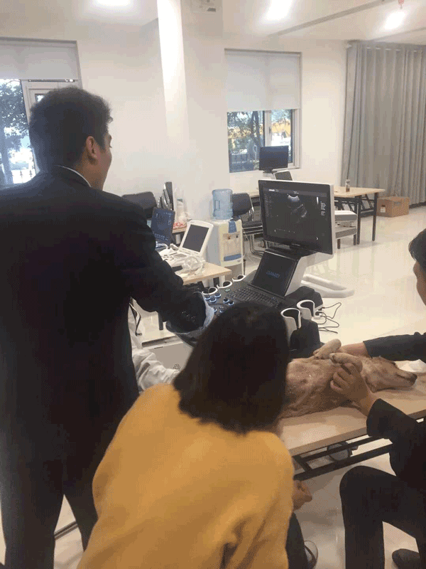 寵物b超機操作培訓