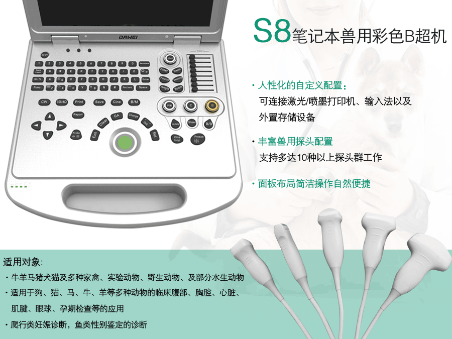 牛馬b超機廠家