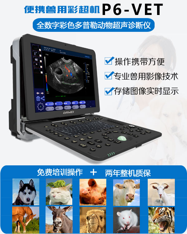 高清獸用彩超機