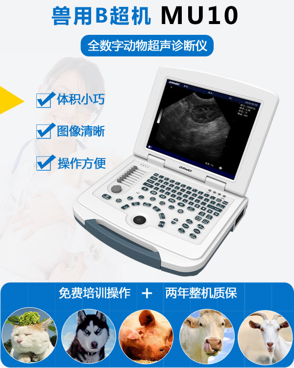 MU10便攜式筆記本獸用B超機