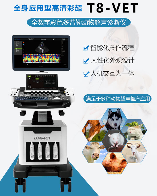 動(dòng)物B超機(jī)T8-VET