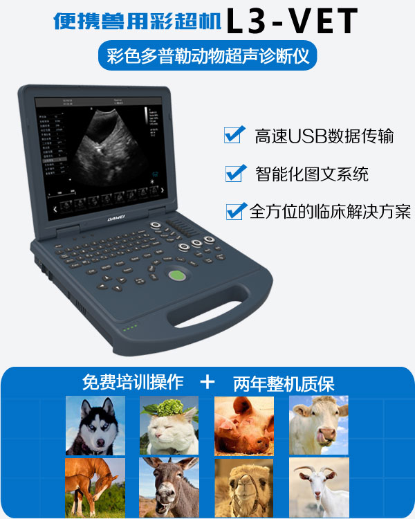 L3-VET筆記本獸用B超機