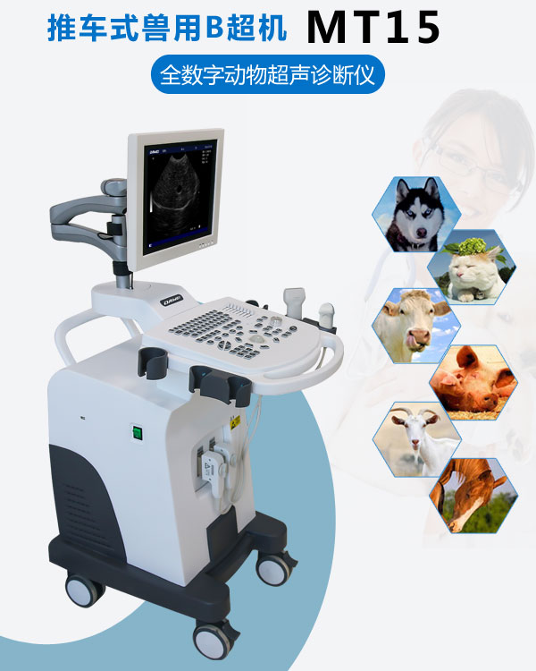 MT15獸用B超機
