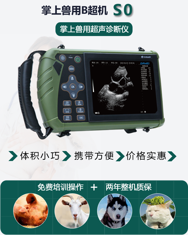 掌上獸用B超機