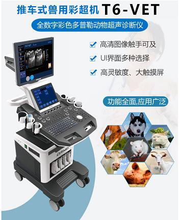 高清推車式獸用b超機