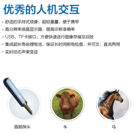 掌上獸用b超機