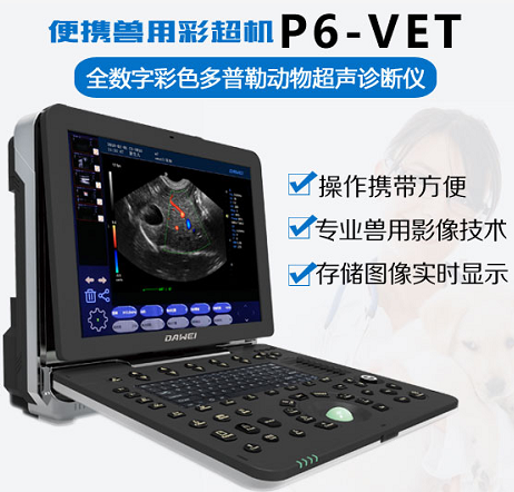 動物b超機價格